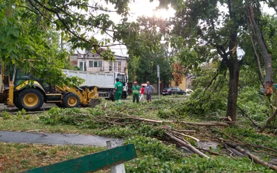 Toate utilajele RER sunt în teren pentru a salubriza orașul în urma furtunii de ieri. Primarul, apel către orădeni