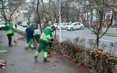 Campania de curățenie de primăvară continuă