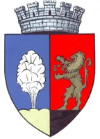PRIMĂRIA TÂRNĂVENI