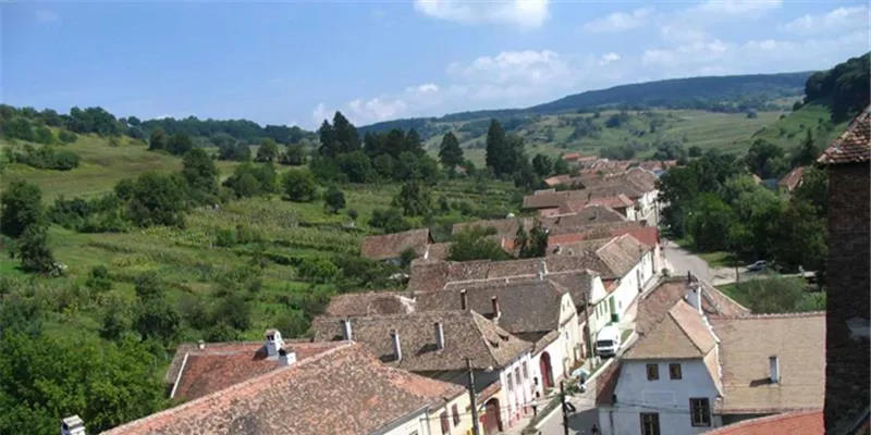 PRIMĂRIA VALEA VIILOR