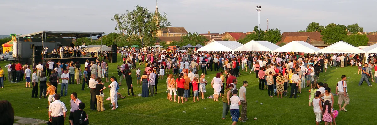 PRIMĂRIA ZĂBRANI