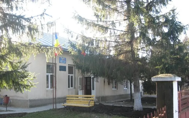 PRIMĂRIA ALEXANDRU IOAN CUZA