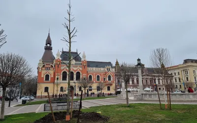 Stejarii roșii au fost plantați în Piața Unirii