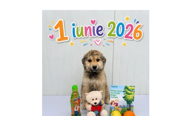 De Ziua Copilului, FIN-ECO și Asociația Milioane de Prieteni au organizat un eveniment dedicat adopției responsabile și educației pentru mediu