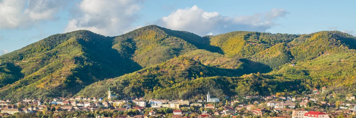 PRIMĂRIA ŞIMLEU SILVANIEI