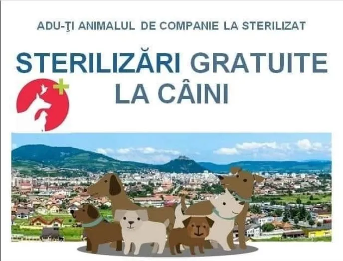 Nu uita de campania gratuită de sterilizare a câinilor cu stăpân ce aparțin rasei comune și a metișilor acestora, derulată de Primăria Municipiului Deva!