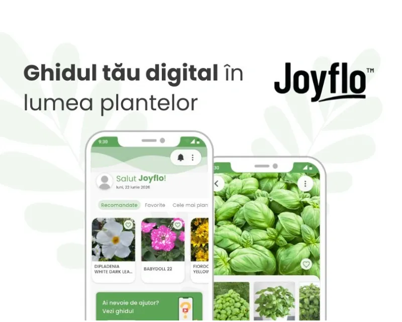 Joyflo - Ghidul tău digital în lumea plantelor