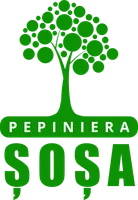 PEPINIERA SOSA SRL