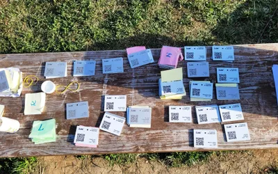 Plăcuțe noi pentru mestecenii din parcul „Plantați în amintire”