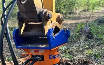 Cum faci bani din cioate tocate recuperând teren