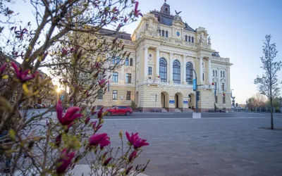 Consiliul Local a aprobat bugetele instituțiilor și companiilor locale subordonate, precum și pe cele ale entităților non-profit în care este asociat