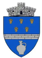 PRIMĂRIA VLĂDEŞTI