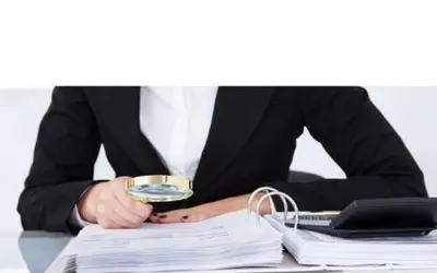 MANU A. ADRIANA MARIA - AUDITOR FINANCIAR