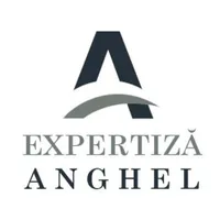 EXPERTIZĂ ANGHEL ACCOUNTING SRL