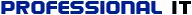 PROFESSIONAL IT SRL