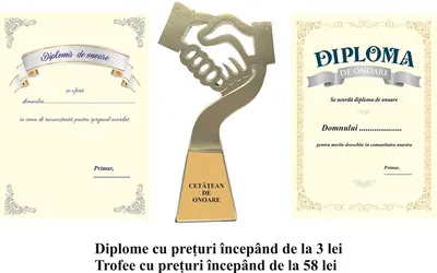 Diplome si Trofee pentru aprecierea si recunoasterea meritelor