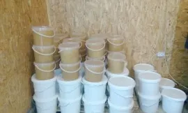 Miere de Tei productie proprie 2015 la Galetusa alimentara de 5 l=7kg  Pret: 175 RON