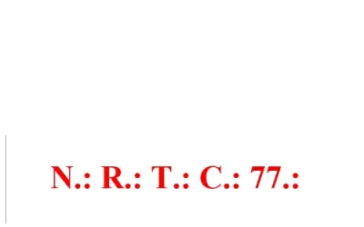 NEW REAL TIME CONSULTING 77 S.R.L.