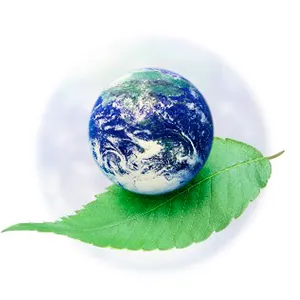 Ce servicii în domeniul protecției mediului oferă Sareco Business Invest deținătorilor și generatorilor de deșeuri, instituții de stat sau private