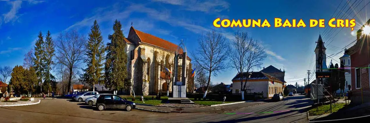 PRIMĂRIA BAIA DE CRIŞ
