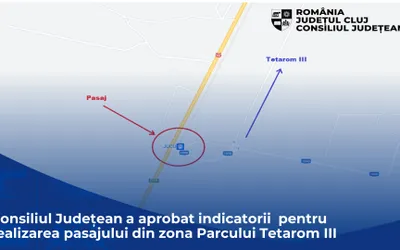 Consiliul Județean a aprobat indicatorii tehnico-economici pentru realizarea pasajului din zona Parcului Tetarom III