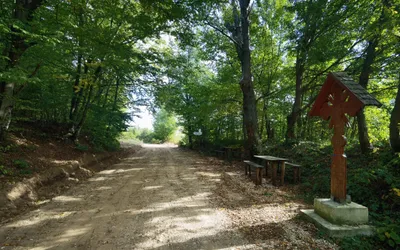 Iustin Cionca: ”Am câștigat finanțarea pentru Drumul Regelui!”