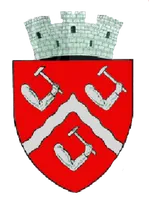 PRIMĂRIA TÂRGU-OCNA