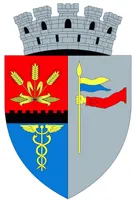 PRIMĂRIA ROŞIORII DE VEDE