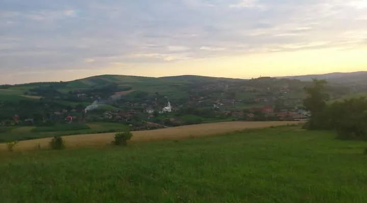 PRIMĂRIA POGĂCEAUA