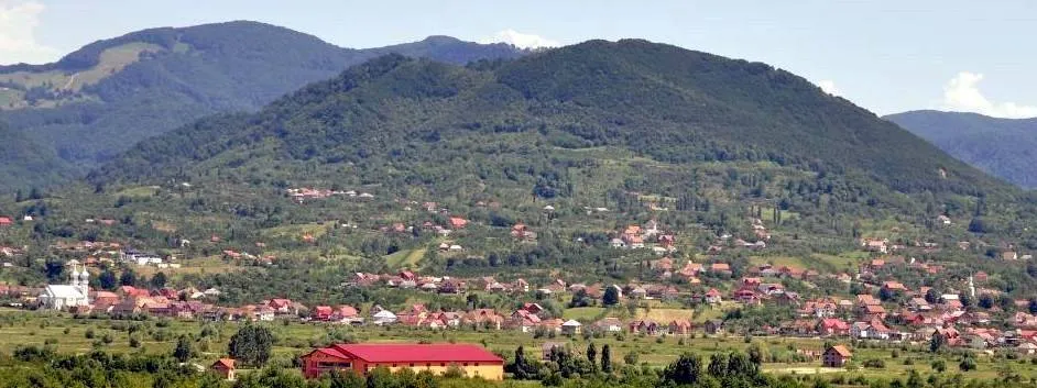 PRIMĂRIA TÂRŞOLŢ