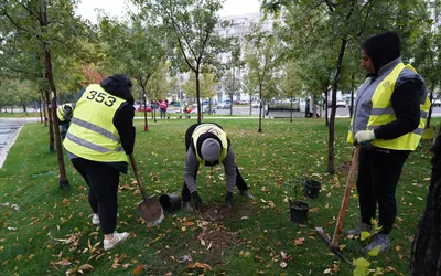 Peste 200.000 de noi arbori, arbuști și diferite plante, în Sectorul 3