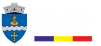 PRIMĂRIA DOICEŞTI