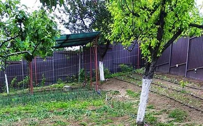 Termenele până la care se declară datele pentru înscrierea în  Registrul Agricol