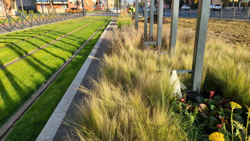 Abordări sustenabile în amenajarea spațiilor verzi din Oradea