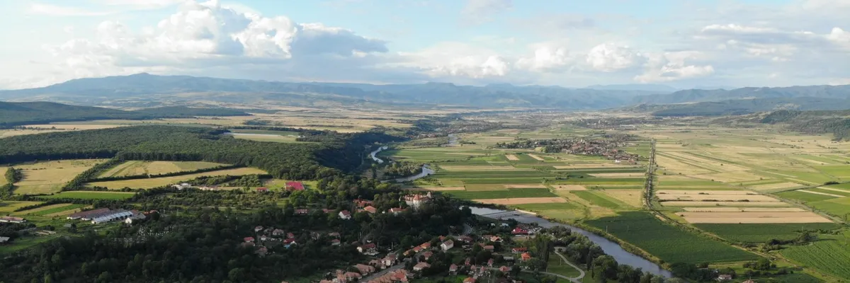 PRIMĂRIA BRÂNCOVENEŞTI