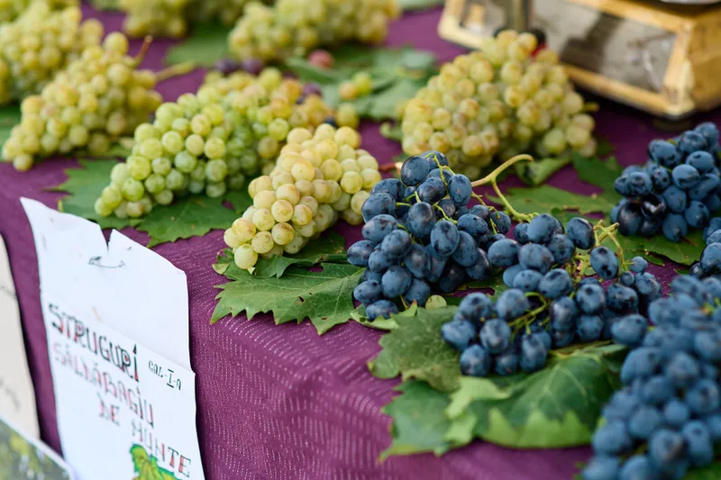 Modificare program Târgul Produselor Bihorene