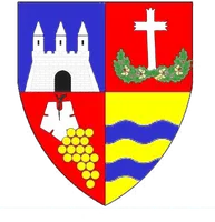 CONSILIUL JUDEȚEAN ARAD