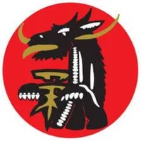 ALTERNATIV OPTIONS SRL