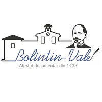 PRIMĂRIA BOLINTIN VALE