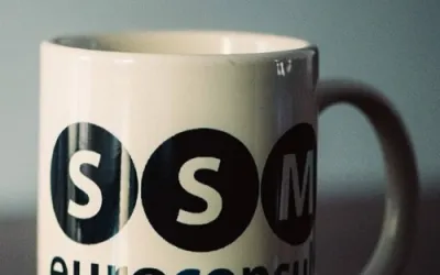 S S M EURO CONSULT SRL