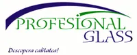 PROFESIONAL GLASS SRL