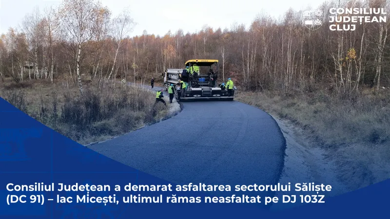 Consiliul Județean a demarat asfaltarea sectorului Săliște (DC 91) – lac Micești, ultimul rămas neasfaltat pe DJ 103Z
