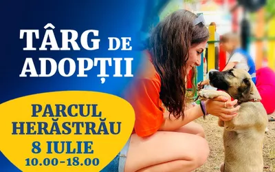 Târg de adopții pentru căței - 8 iulie, Parcul Regele Mihai I
