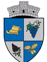 PRIMĂRIA CERNĂTEŞTI