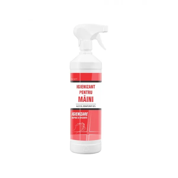 IGIENIZANT DE MAINI 1 KG