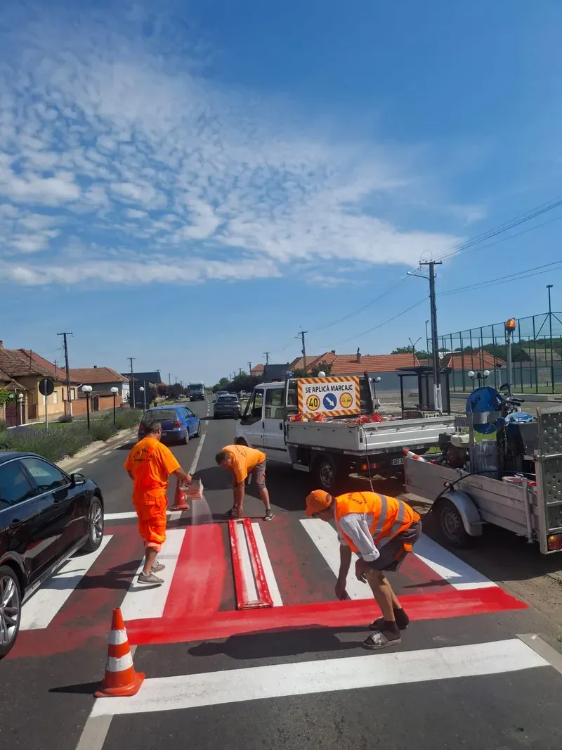 Consiliul Județean Arad: reparații, marcaje și defrișări pe drumurile județene