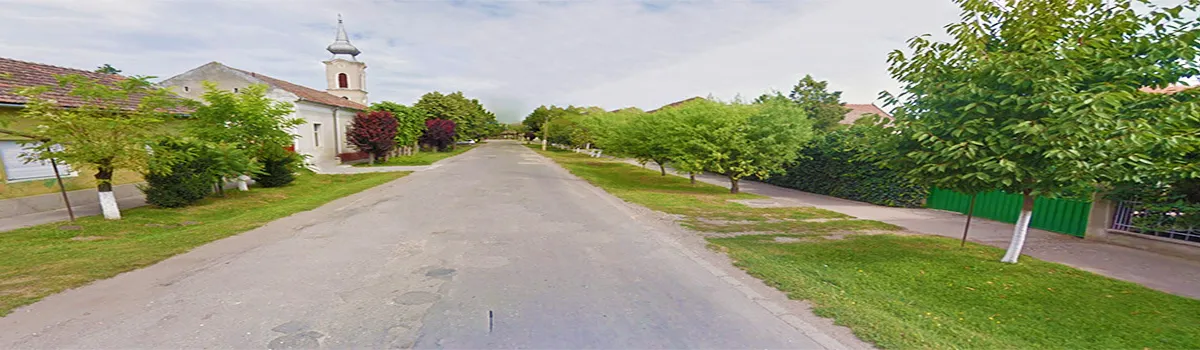 PRIMĂRIA DOROBANŢI