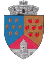 PRIMĂRIA BĂLILEŞTI