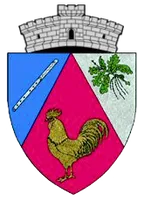 PRIMĂRIA BUCOŞNIŢA