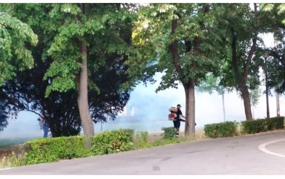 O nouă etapă de dezinsecție și deratizare în municipiu